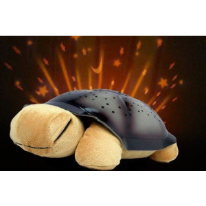 Schildkröte mit leuchtenden Sternenhimmel