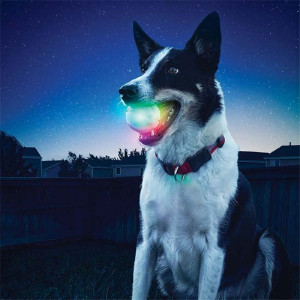 Leuchtender Ball für Hunde