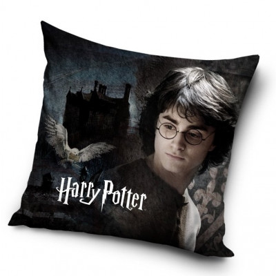 Harry Potter - polštář Harry 40x40