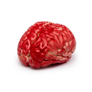 Umělý mozek 