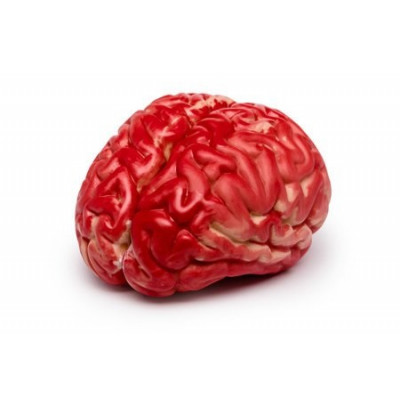 Creier artificial