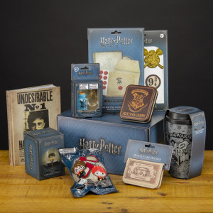 Harry Potter - cutie cadou DELUXE