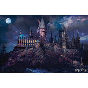 Harry Potter - poster Școala de magie Hogwarts