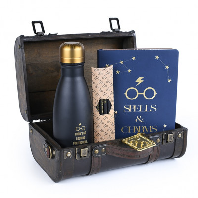 Harry Potter - fából készült mini bőrönd teli ajándékkal DELUXE