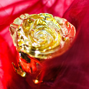 Aranyozott rózsa díszdobozban